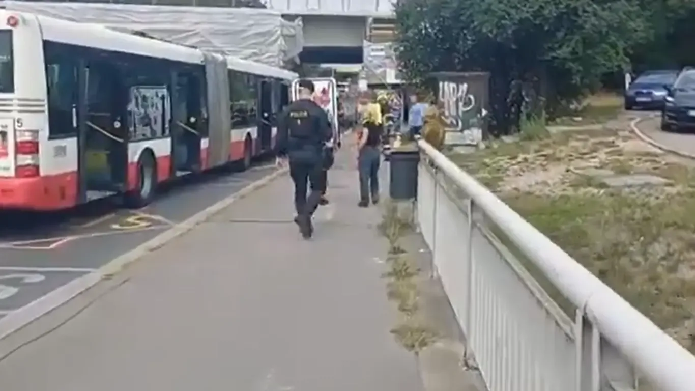 Nehoda se stala ve Vídeňské ulici u křižovatky s ulicí U krčského nádraží v Praze 4.